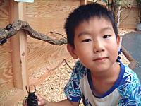 �R�V�q�J���̎Y�������_��