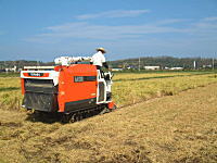 コシヒカリの産直中西農場