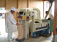 コシヒカリの産直中西農場