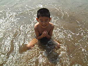 コシヒカリの産直中西農場