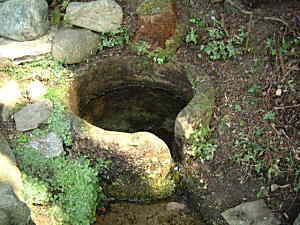 �R�V�q�J���̎Y�������_��